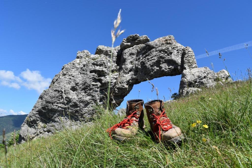 Bienvenue Dans Le Chartreuse 2 A 6 Couchages Daire Cholonge Dış mekan fotoğraf